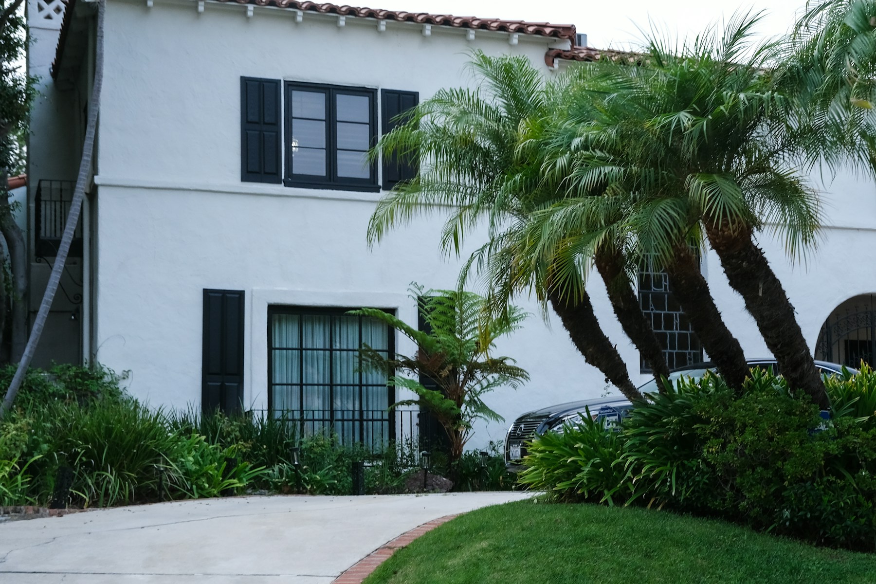 Los Angeles white stucco residence with black shutters and mature palm landscaping